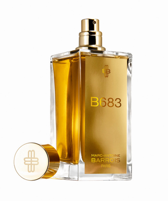 B683 - Bild 3