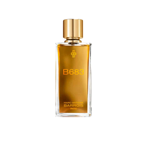 B683 - Bild 2