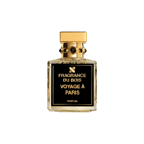 Voyage À Paris